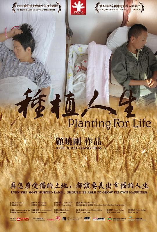 种植人生