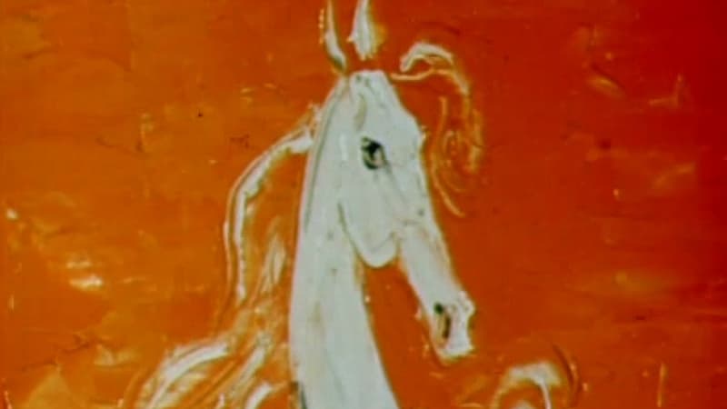 The Horse