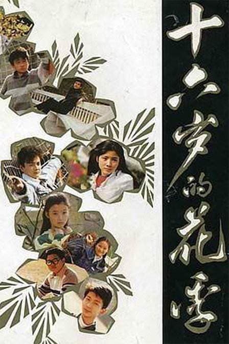 Shi liu sui de hua ji
