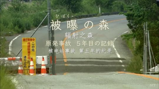 辐射之森~核电站事故第五年的纪录~