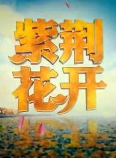 紫荆花开