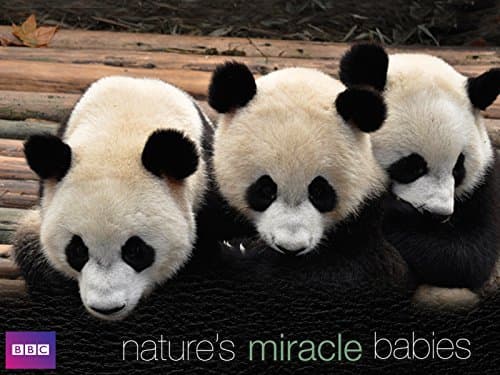 Nature's Miracle Babies