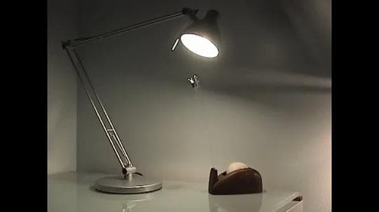 蛾