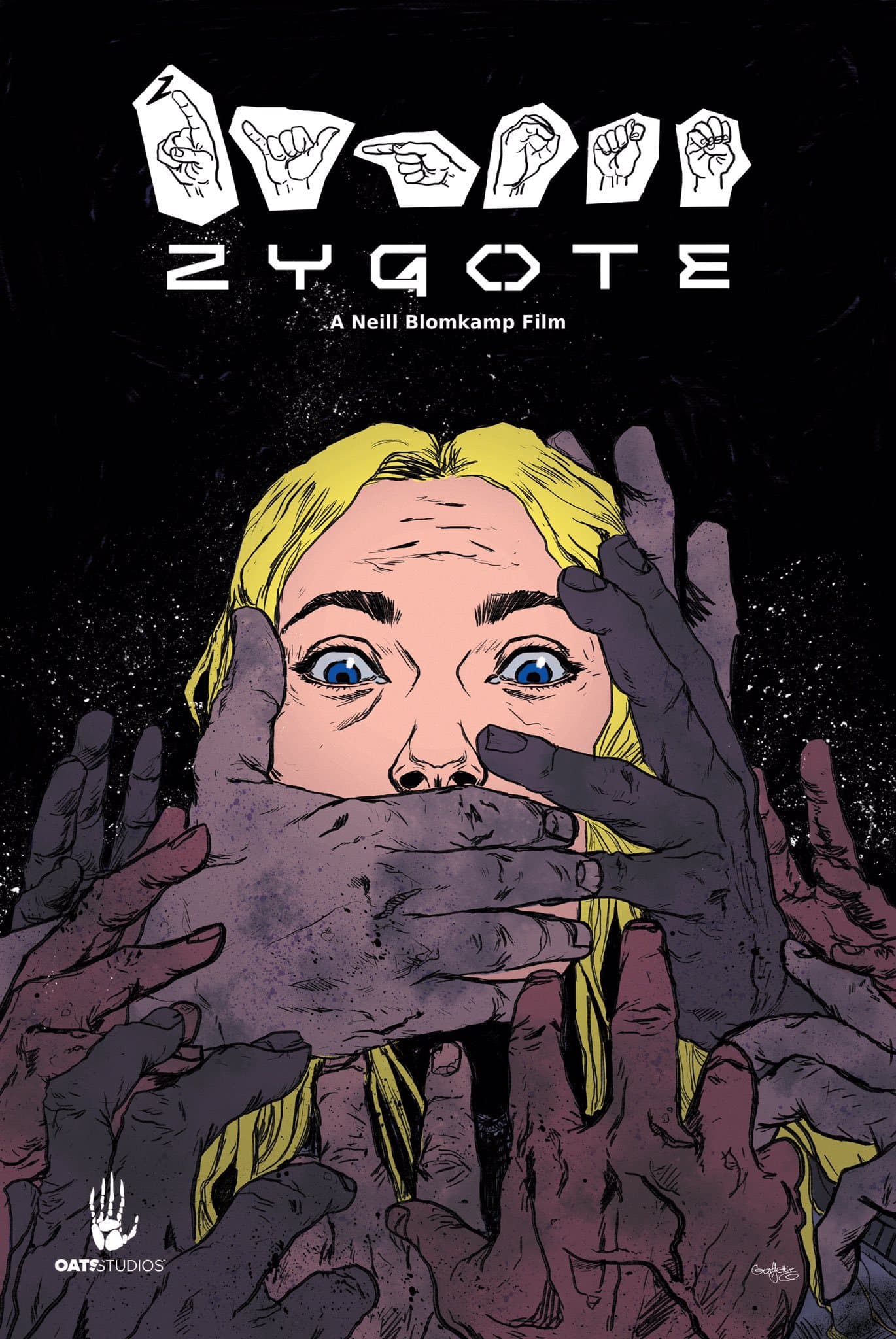 Zygote