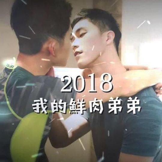 我的鲜肉弟弟