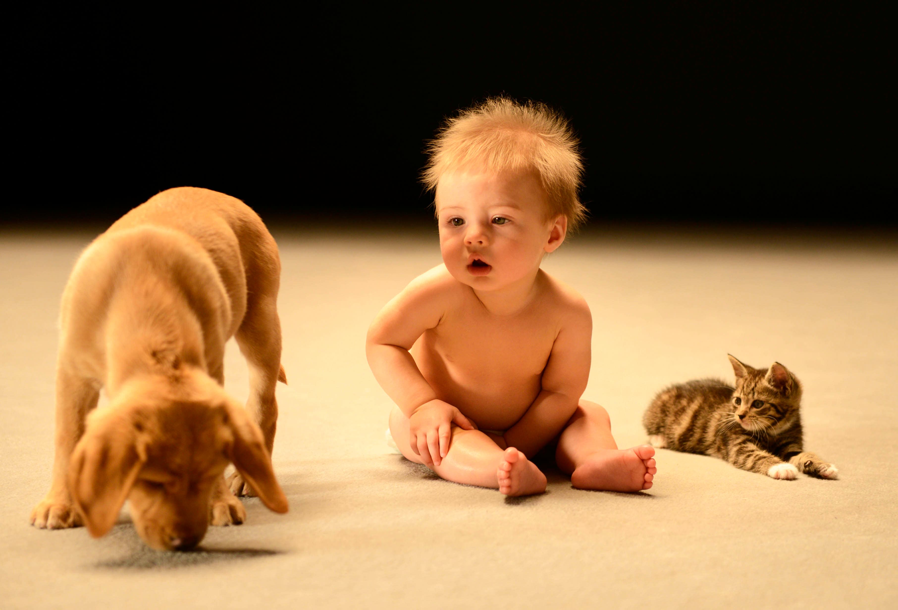 Secret Life of Babies