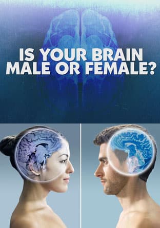 Is Your Brain Male or Female?