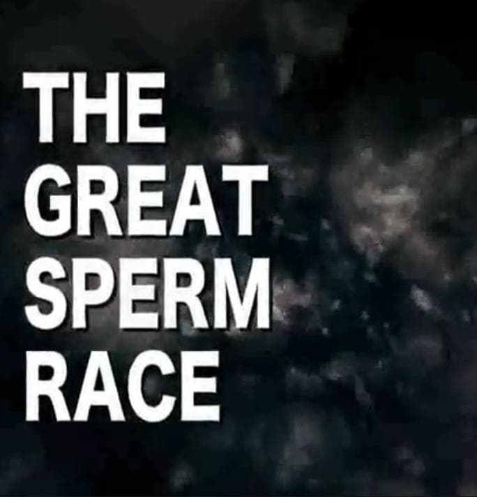 The Great Sperm Race