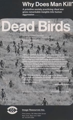 Dead Birds