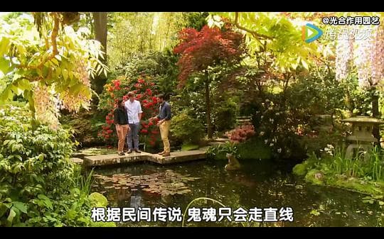 小花园大梦想 第二季