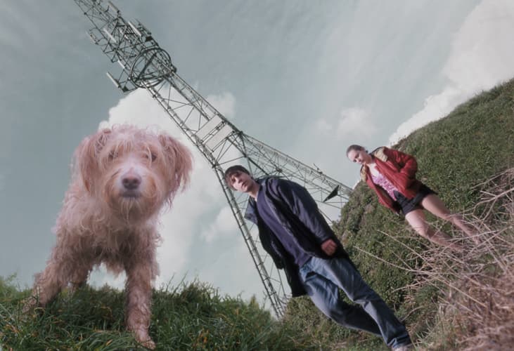 Dog