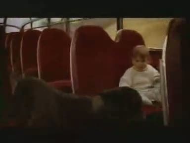 Magic Bus