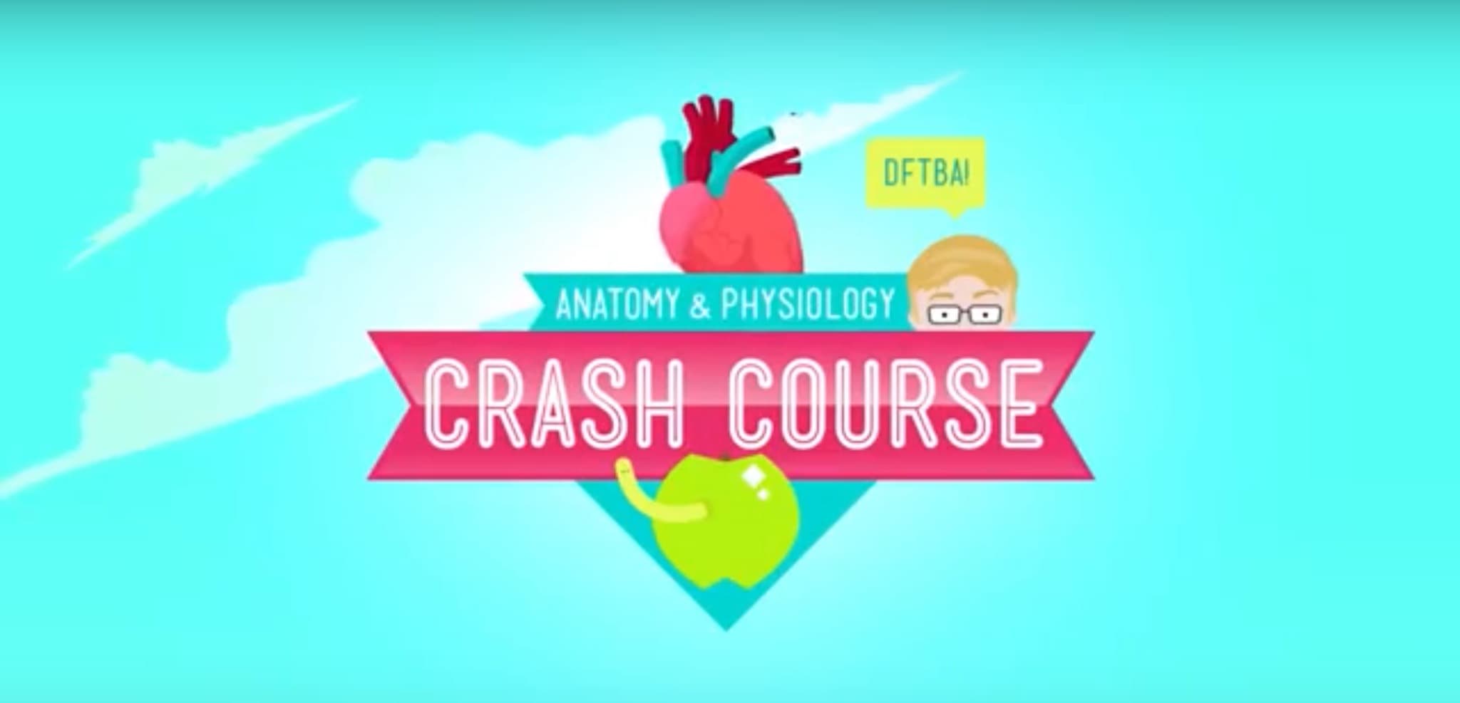Crash Course: Anatomy & Physiology