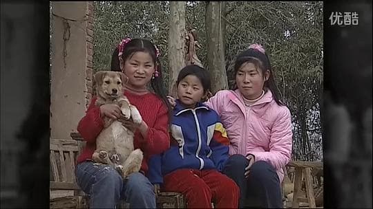 大地的拂晓：中国农村少女和丰田的10年