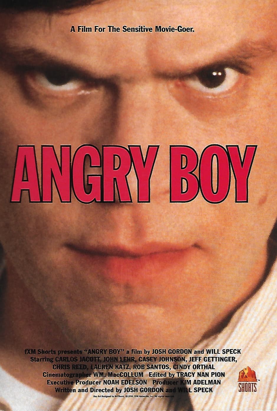 Angry Boy