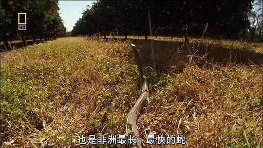 World's Deadliest Animals Season 1