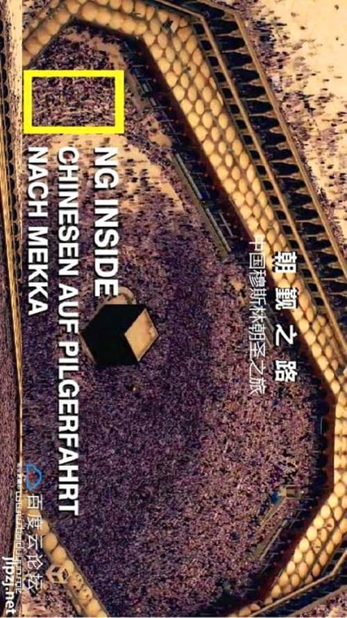 朝觐之路