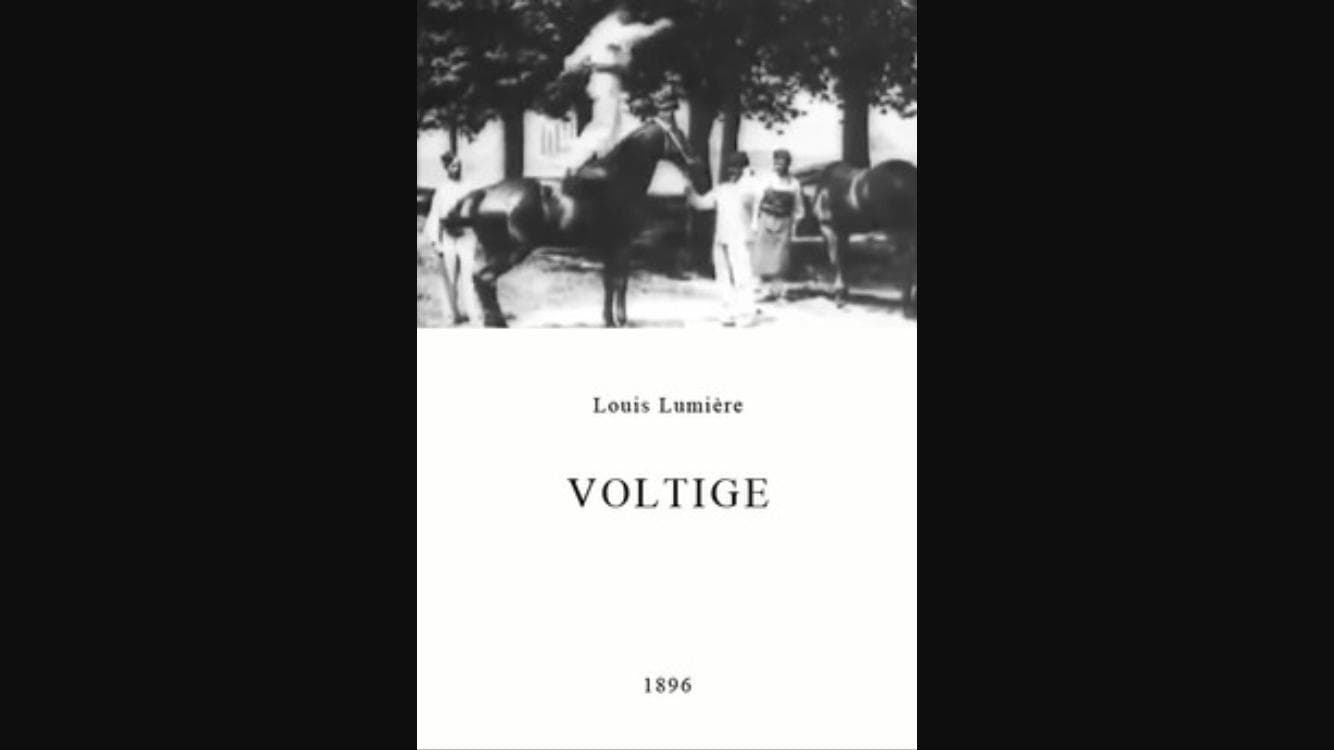 Voltige