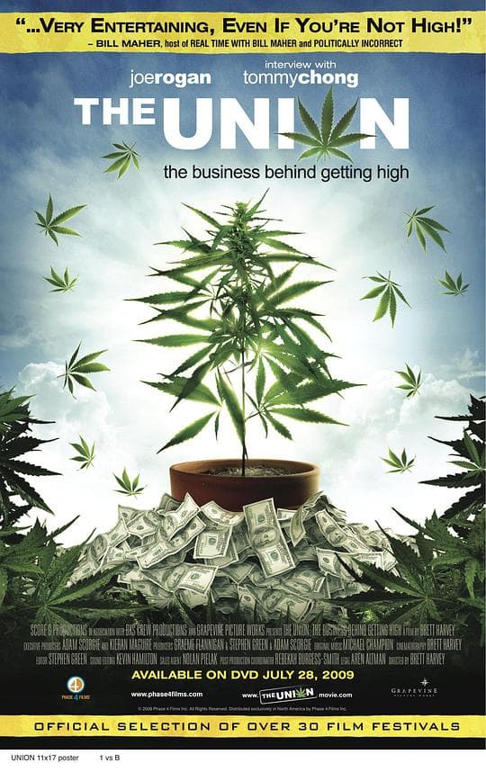 大麻调查