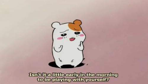 Oruchuban Ebichu
