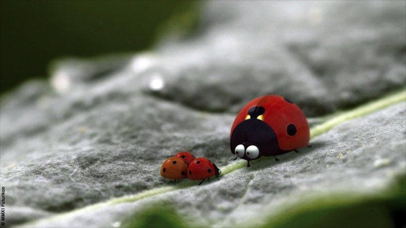 Minuscule Season 2