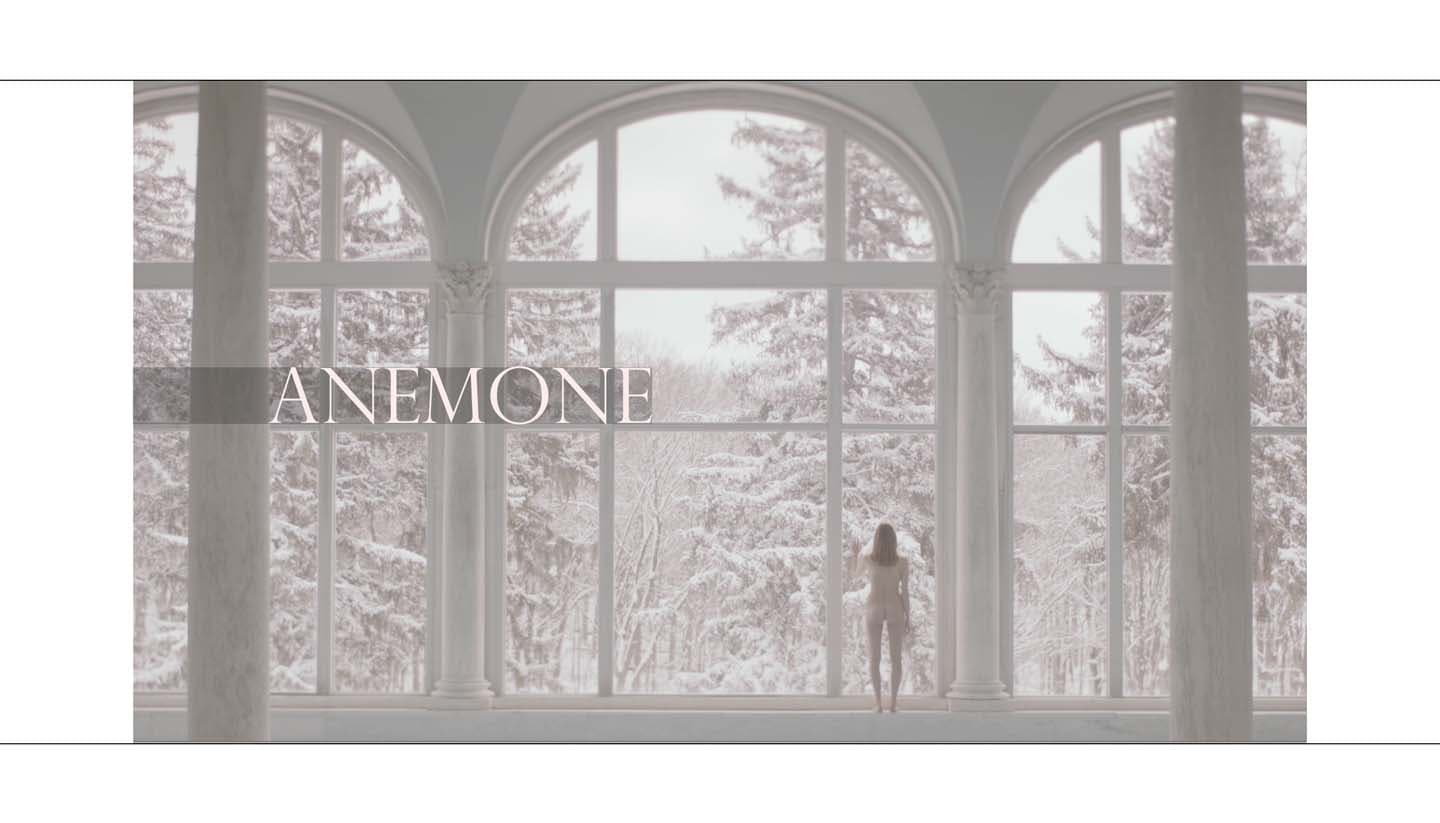 Anemone