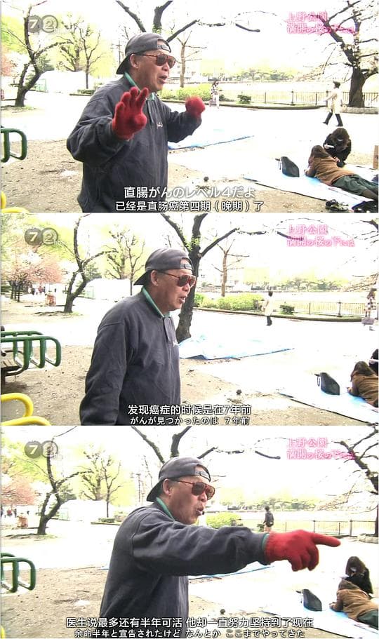 纪实72小时 上野公园 盛开的樱花