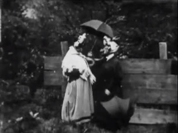 Ladies' Skirts Nailed to a Fence