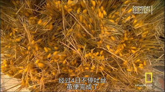 人工奇迹：胸罩秘史