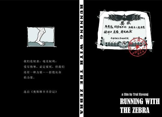 和斑马一起奔跑