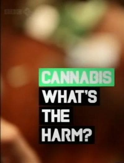大麻 何害之有