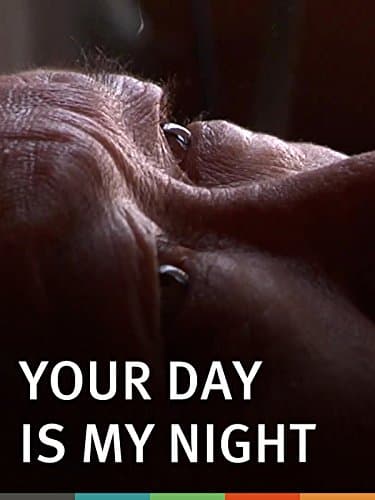 Your Day Is My Night