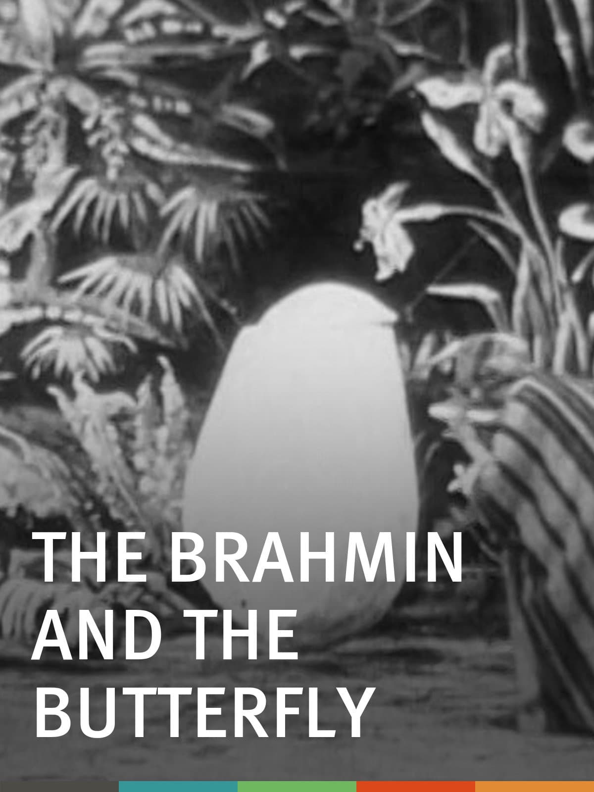 The Brahmin and the Butterfly