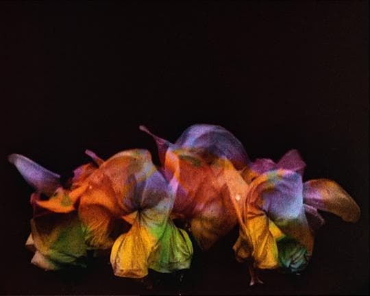 The Butterflies