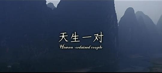 天生一对