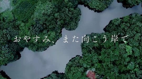 晚安，对岸再会