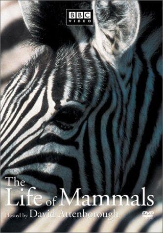 The Life of Mammals