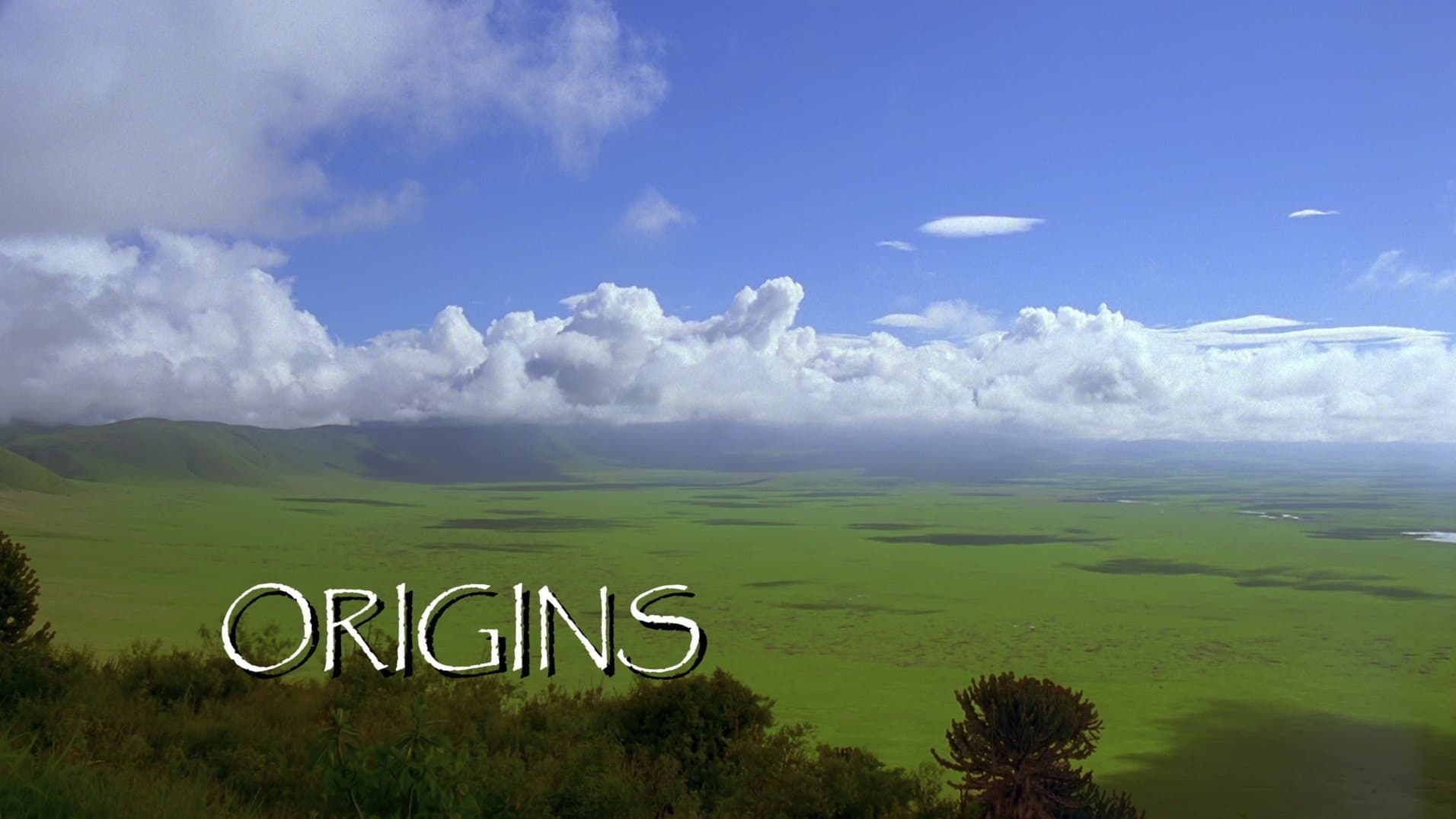 Origins