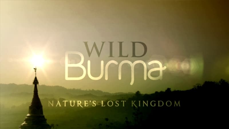 Wild Burma: Nature's Lost Kingdom