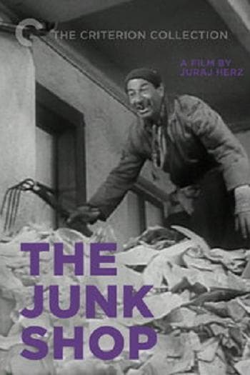 The Junk Shop