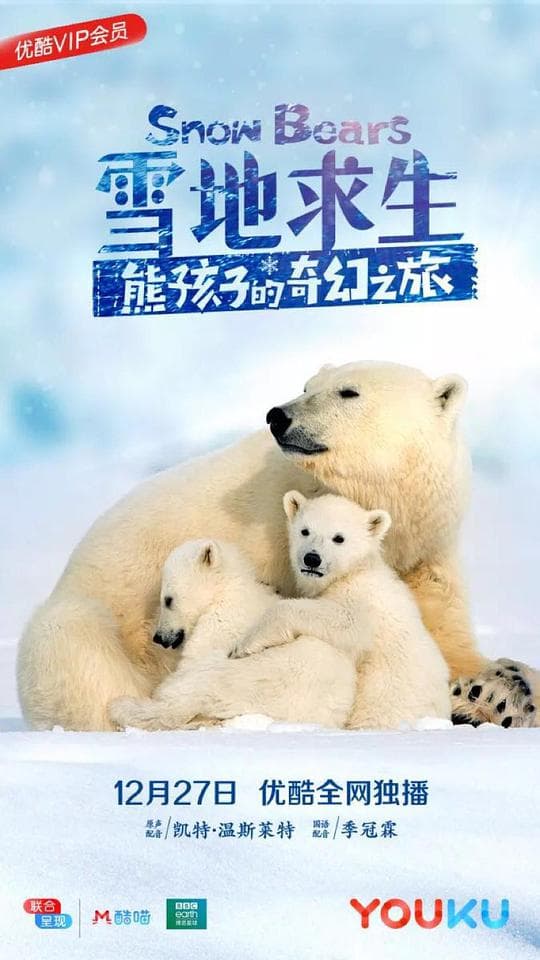 雪地求生：熊孩子的奇幻之旅