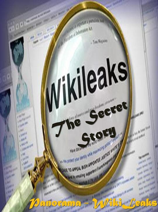 WikiLeaks: The Secret Story