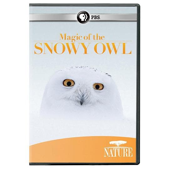神奇的雪鸮