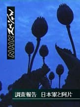 调查报告 日军与鸦片