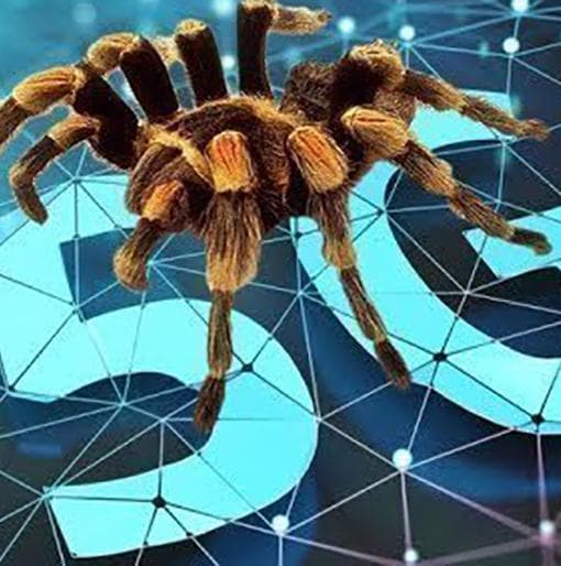5G天启--全球生物集群灭绝事件