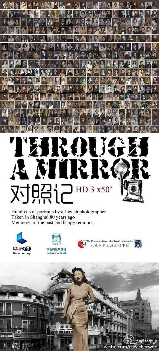 对照记·犹在镜中