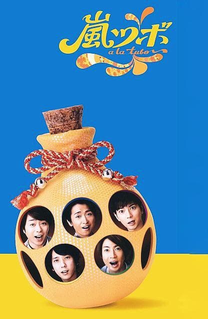 岚壶