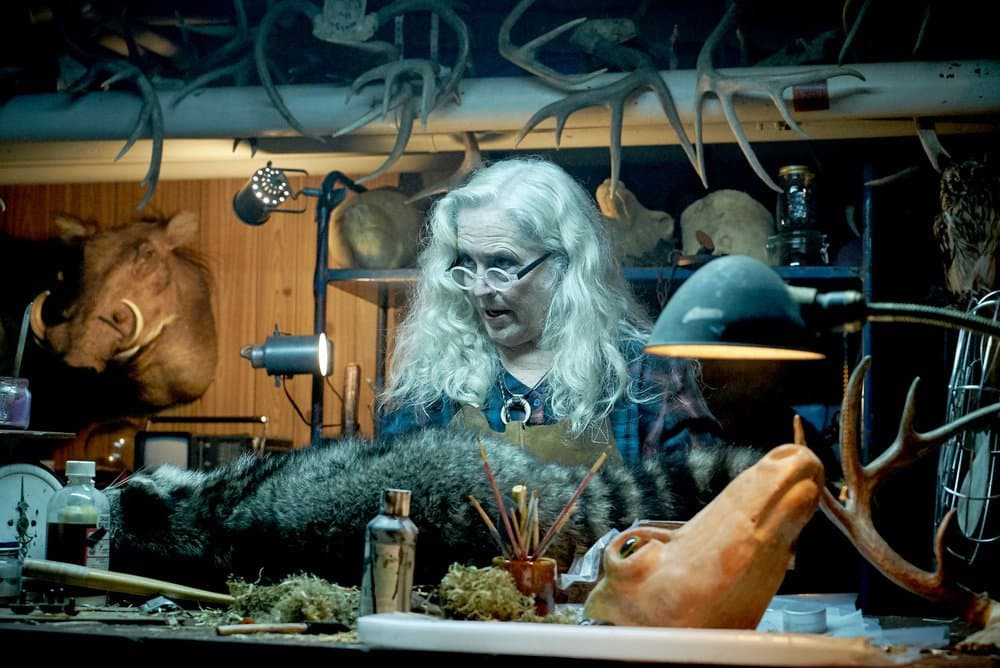 Insidious Onset