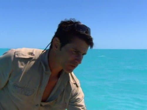 Lost at Sea