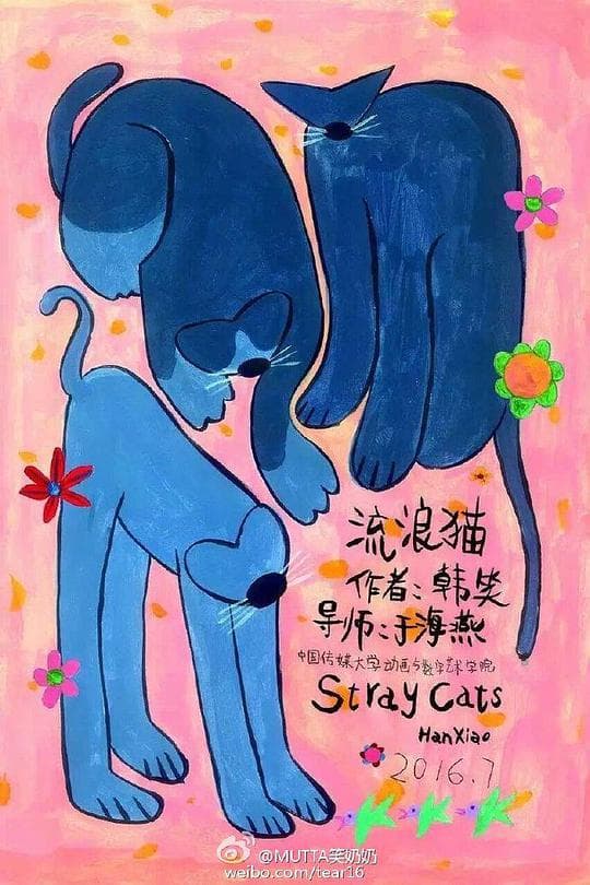 流浪猫